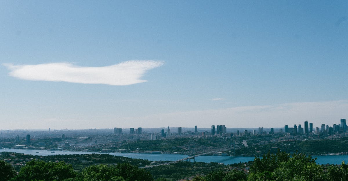 Layover in Istanbul - Green Trees and City Buildings Under Blue Sky