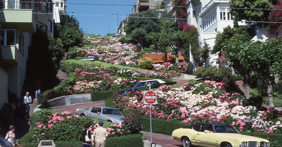 Layover in San Francisco - Lombard Street S.F. 1980