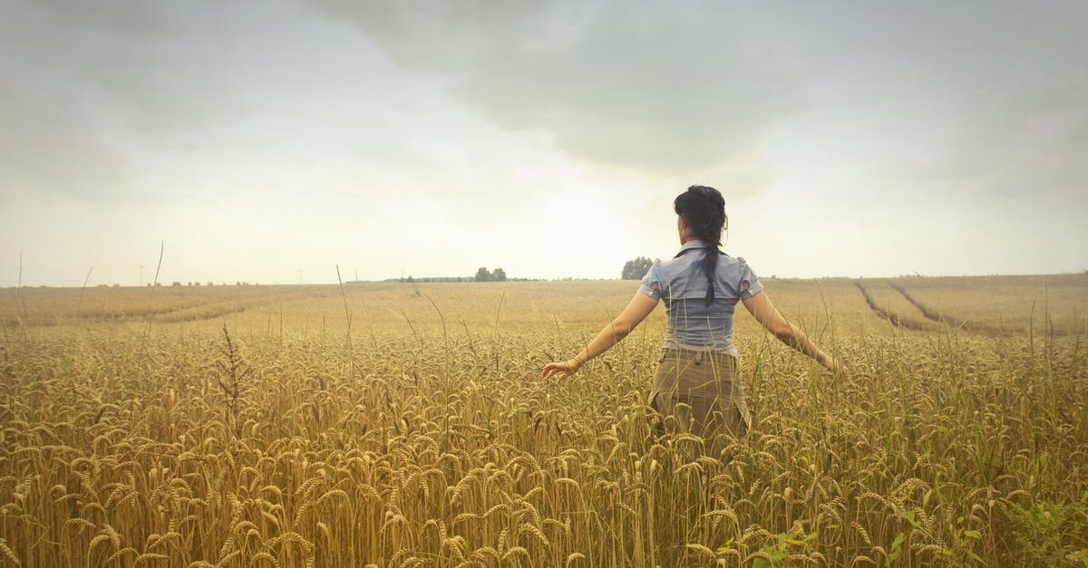 Leaving a country without entering another country and coming back - Woman Standing on Rice Field during Cloudy Day