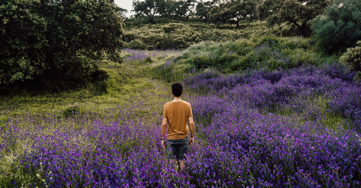 Leaving a country without entering another country and coming back - Person Standing on Bed of Lavender Flowers