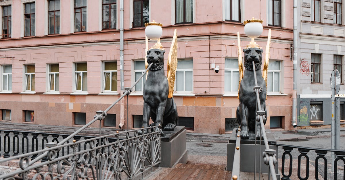 Leaving Russia with Schengen Visa - Black Labrador Retriever on Brown Wooden Dock