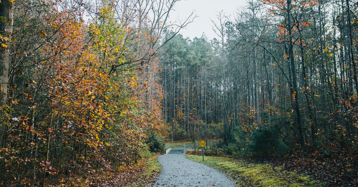 Leaving the country when applied for EAD - Countryside Road in an Autumnal Forest 