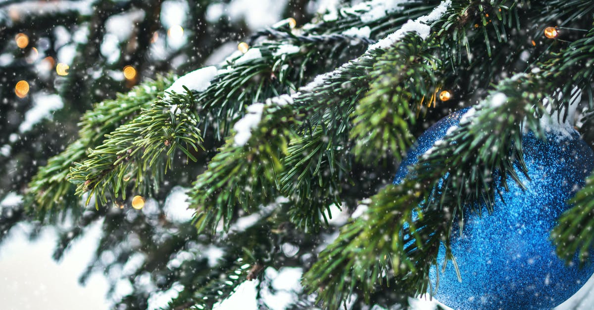 Leaving the US while in adjustment for green card [closed] - Green Pine Tree Covered With Snow