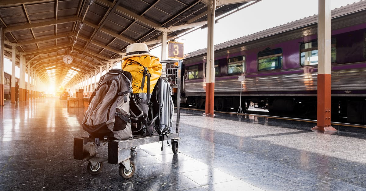 Left luggage facilities in train stations in France or sending luggage from France to Spain? - Several Bags on Trolley Near Train in Station