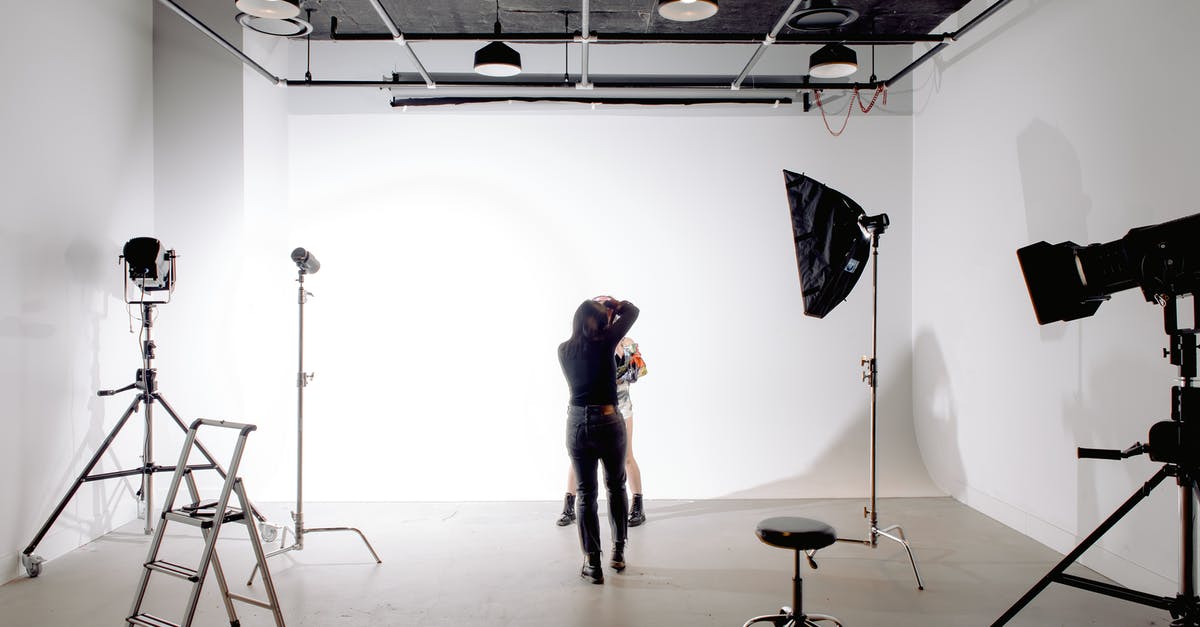 Legal to hire a model for non-professional pictures under ESTA/VWP? - Back view of unrecognizable professional photographer taking photo of anonymous model in modern light studio