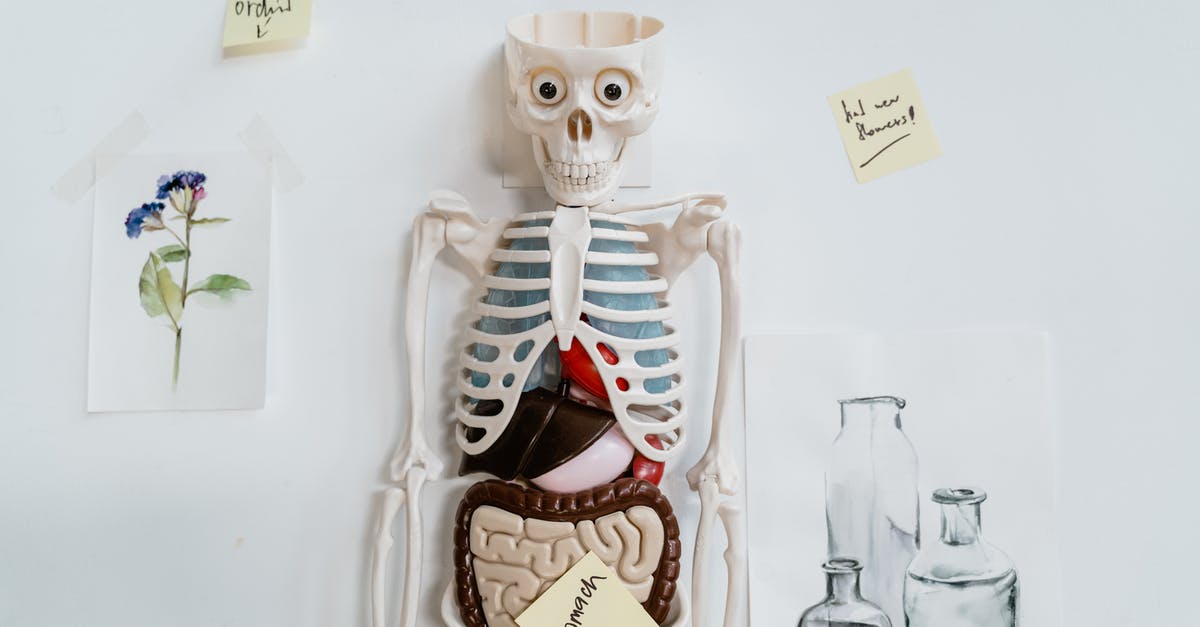 Legal to hire a model for non-professional pictures under ESTA/VWP? - Skeleton Model and Sticky Notes