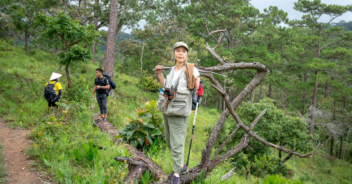 Length of visit for 2 year UK tourist visa - Full body positive Asian travelers in casual outfits visiting green national park on clear summer day