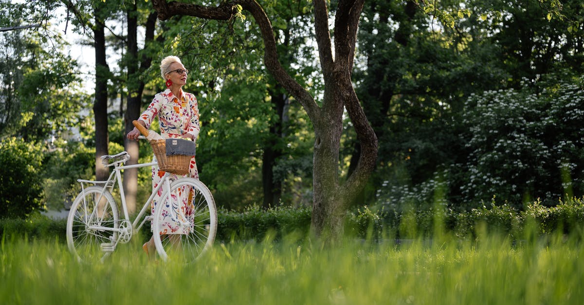 Lesovo, Bulgaria to Hamzabeyli, Turkey with bike - Woman in Blue and White Floral Dress Riding on Bicycle on Green Grass Field