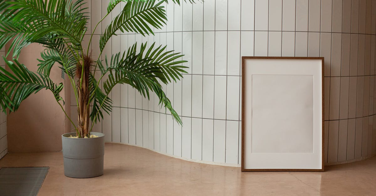 Light at Canadian border crossing - Blank frame near potted flower