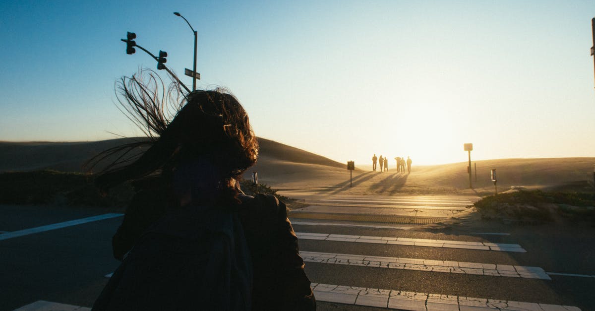 Light at Canadian border crossing - Woman Walking on Crosswalk during Day