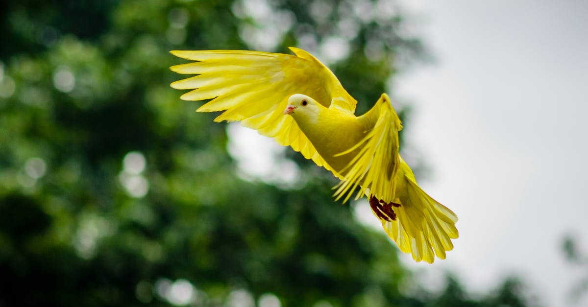 Little Uk standard visitor Visa clarification - Flying Yellow Bird