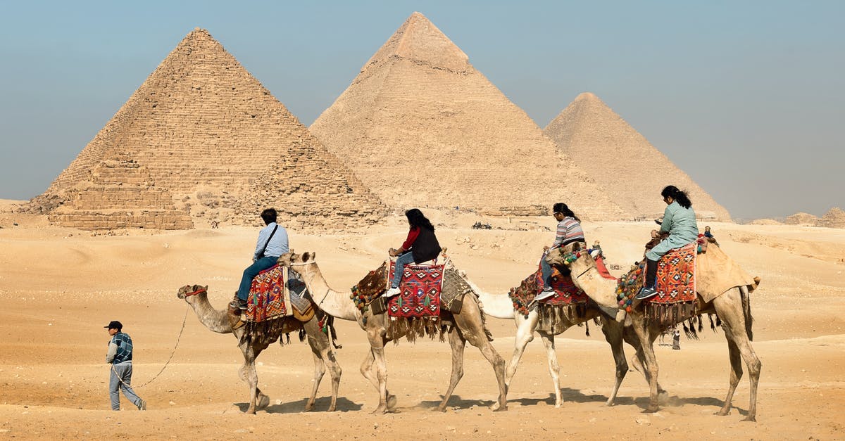 Long transit in Cairo (Egypt) - Four People Riding on Camels Across the Pyramids