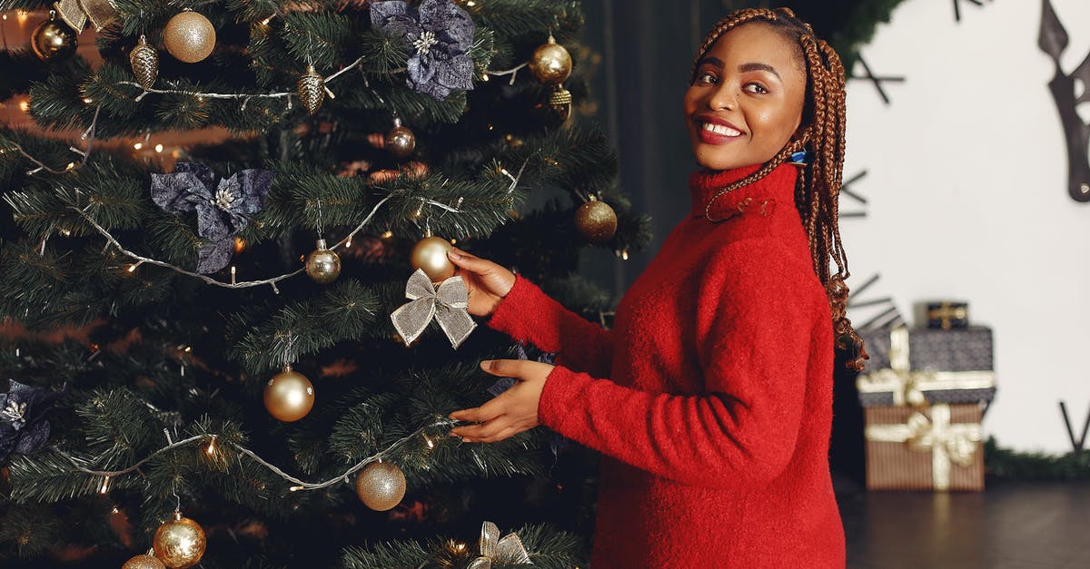 Long-distance Uber/Lyft ride around Christmas - Girl in Red Turtleneck Sweater Standing Beside Christmas Tree