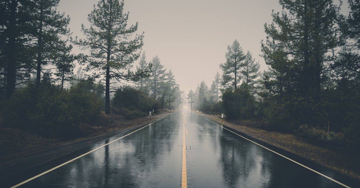 Longest distance ordinary road sign? - Road Between Pine Trees