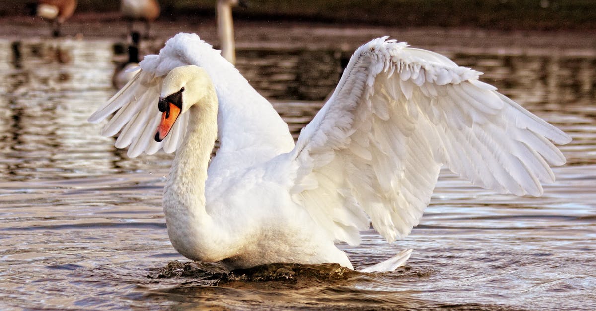 Long-haul flight with baby - parents spread across the plane - White Swan