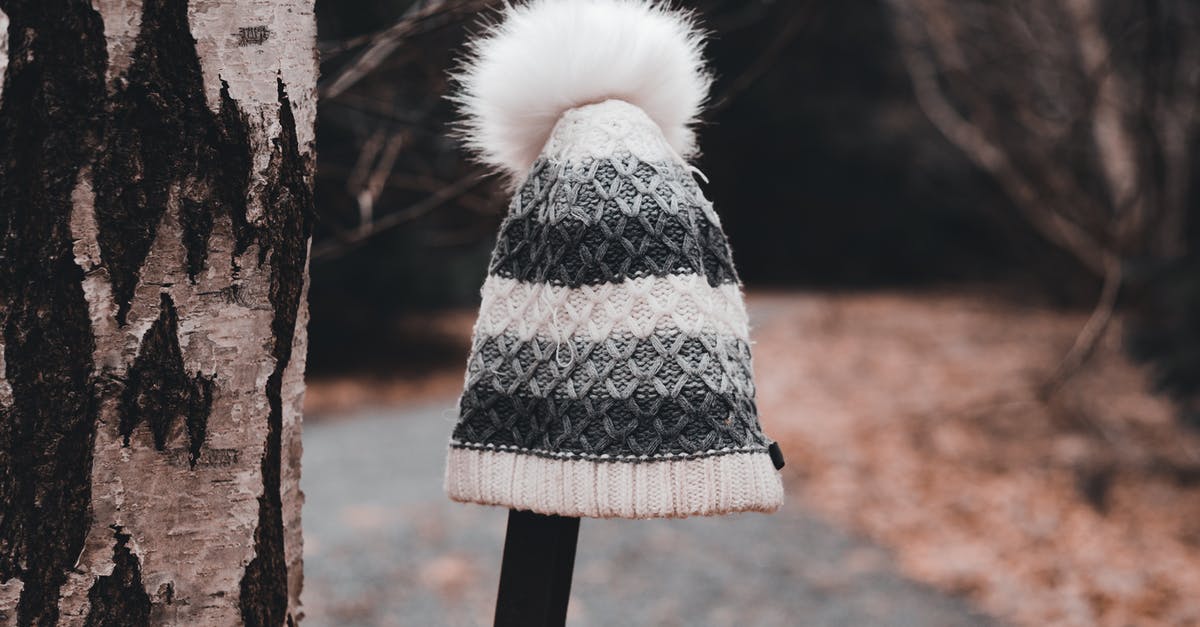 Lost and Found (UK Passport) - Lost and found warm knitted hat placed on metal beam near tree trunk and path with fallen dry leaves in autumn park in daytime