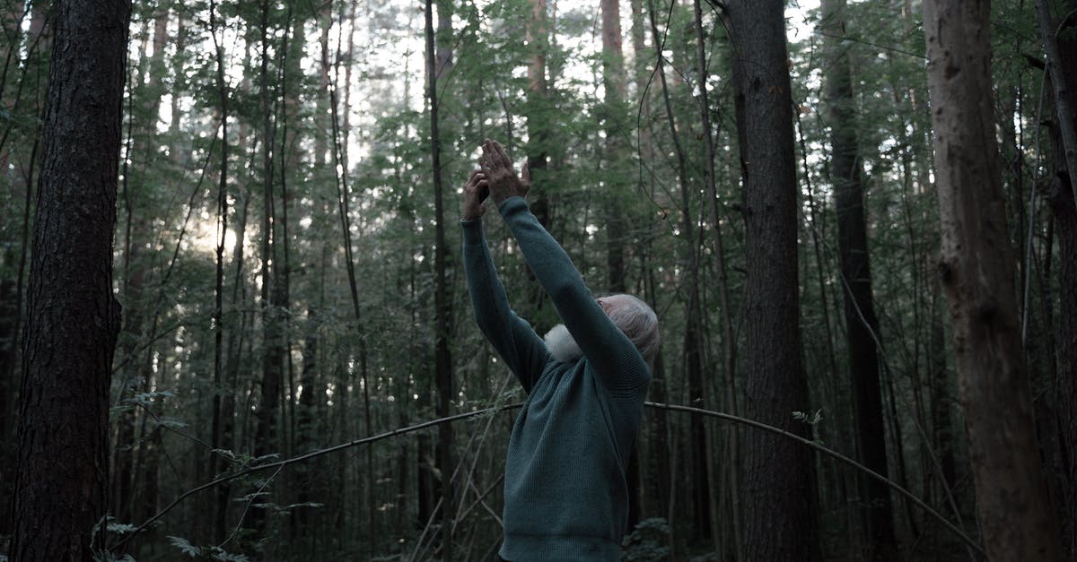 Lost document sojourno? help [closed] - Senior Man with White Beard Searching for Smart Phone Signal in Forest