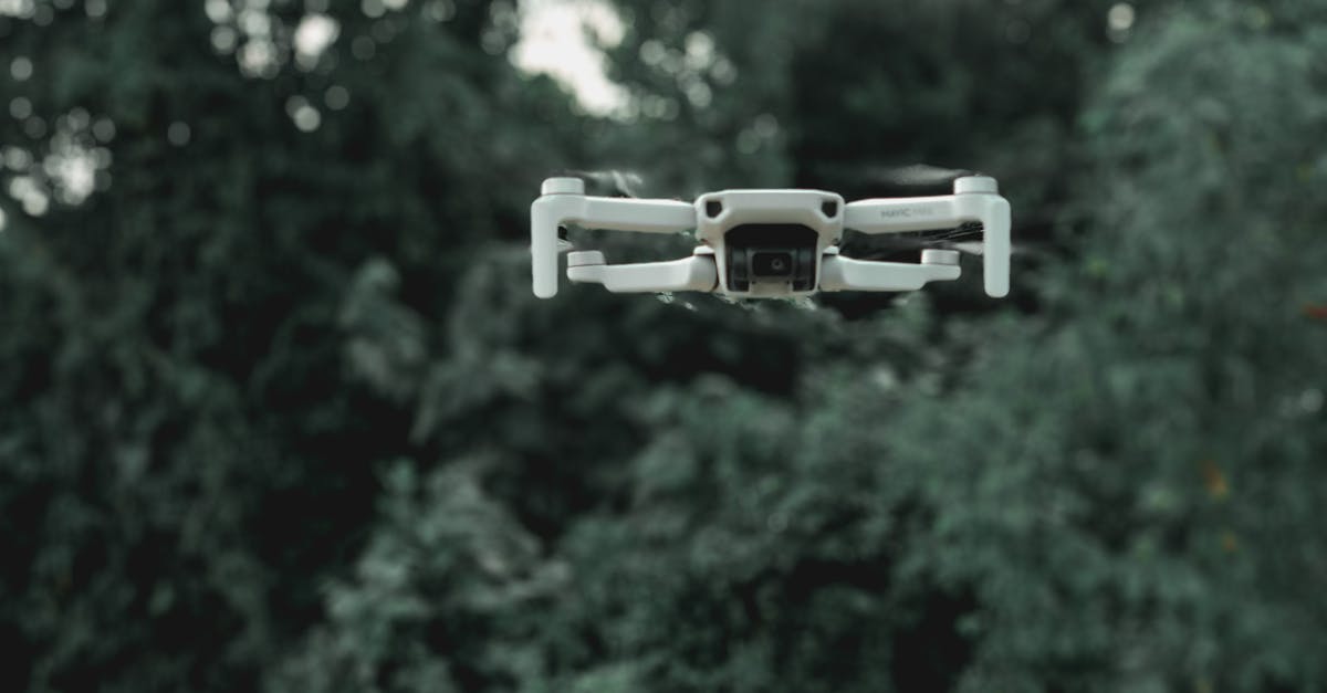 Lufthansa Rail and Fly to outside of Germany? - Drone flying near green trees in forest