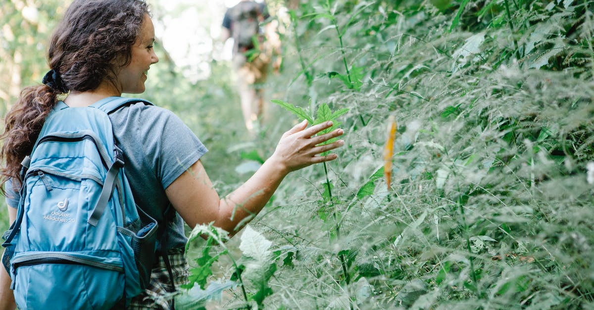 Malaria pills needed for jungle trip in Chiang Mai? - Cheerful young female hiker smiling and touching plants in jungle