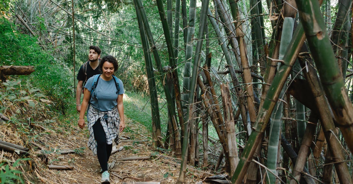 Malaria pills needed for jungle trip in Chiang Mai? - Active young couple strolling in jungle during romantic trip