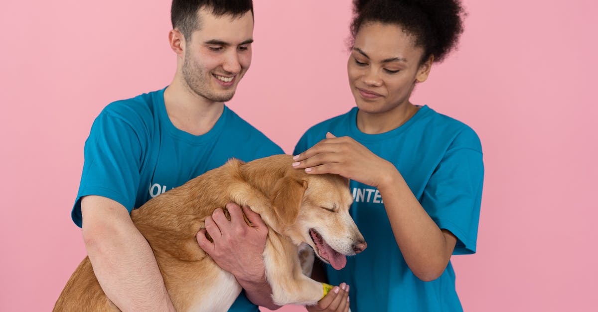 Male visiting Iran with younger female companion - Man in Blue Crew Neck T-shirt Holding Brown Short Coated Dog