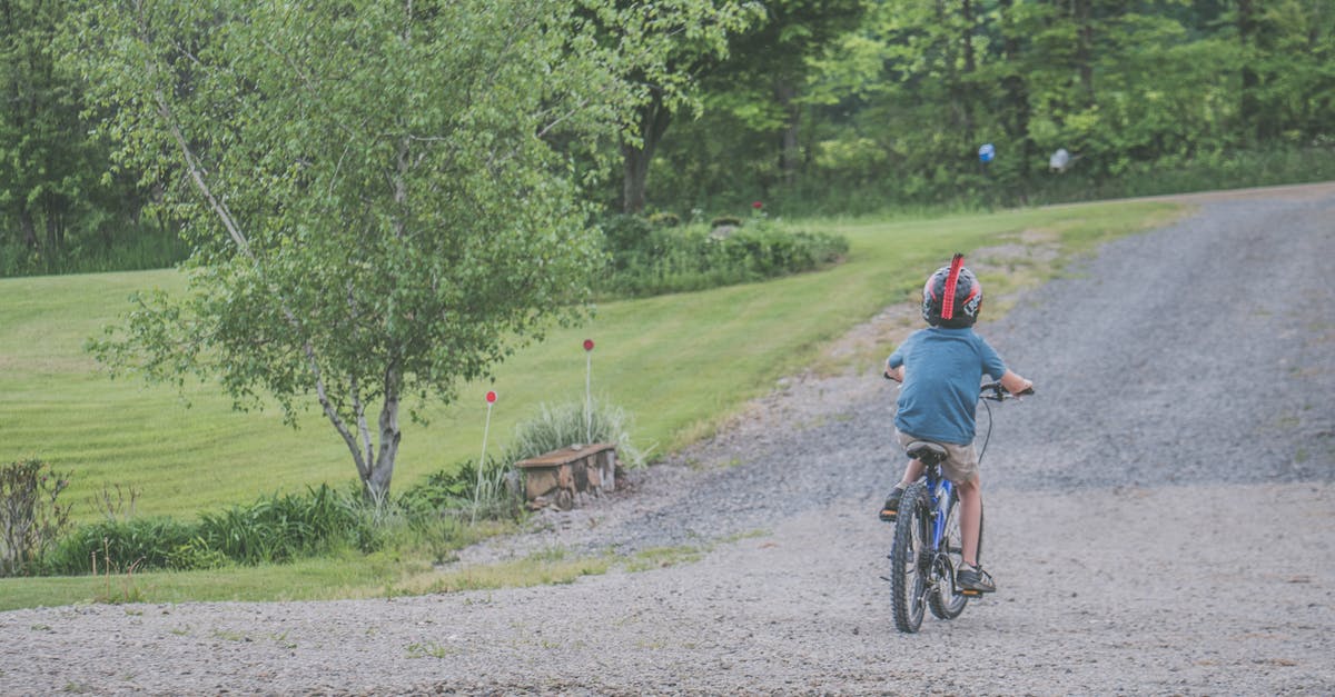 May kids ride in the back of a 5th Wheel in the US? - Boy Wearing Blue T-shirt and Beige Shorts Outfit Riding on Black Bicycle at Daytime May kids ride in the back of a 5th Wheel in the US? - Boy Wearing Blue T-shirt and Beige Shorts Outfit Riding on Black Bicycle at Daytime