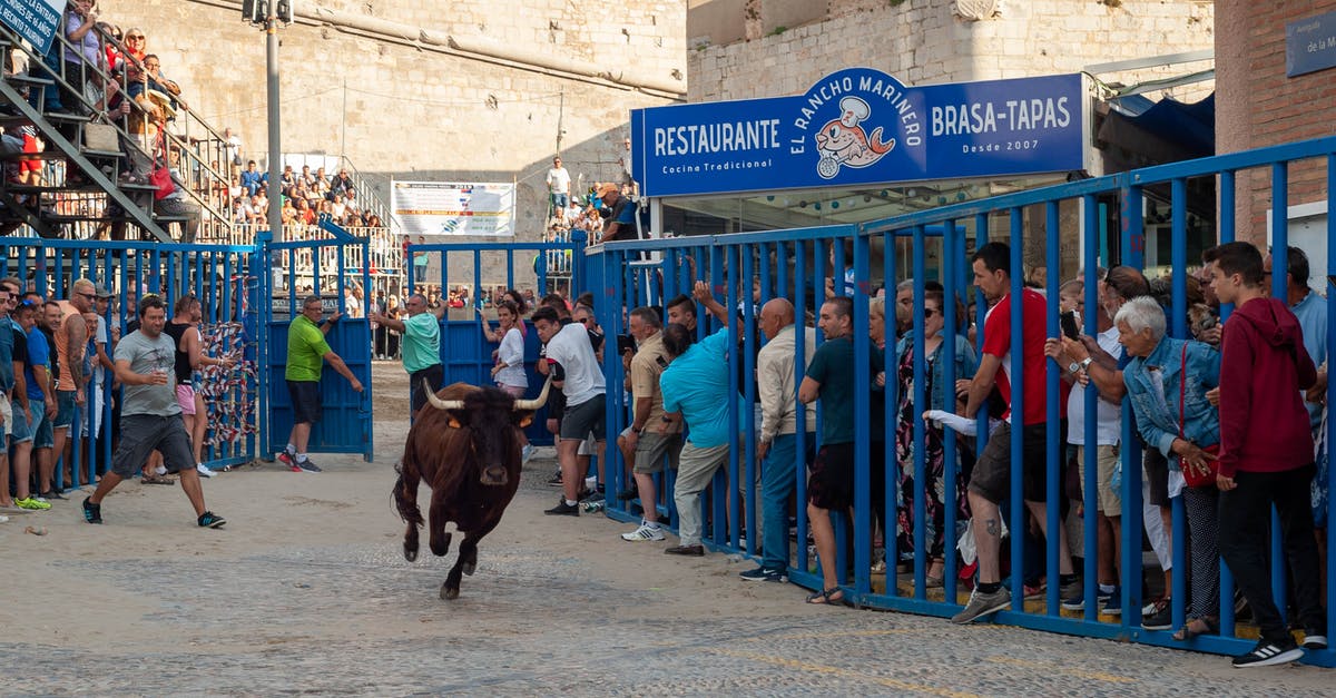 mechanical rodeo bull in Majorca [closed] - Rodeo Festival on City Street