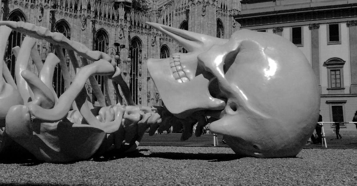 Medical coverage travelling to place of birth - Art skeleton sculpture on cathedral square