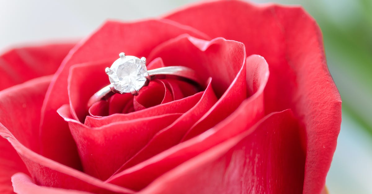 Monday Silver Anniversary in Texas, need ideas [closed] - Silver Diamond Embed Ring on Red Rose