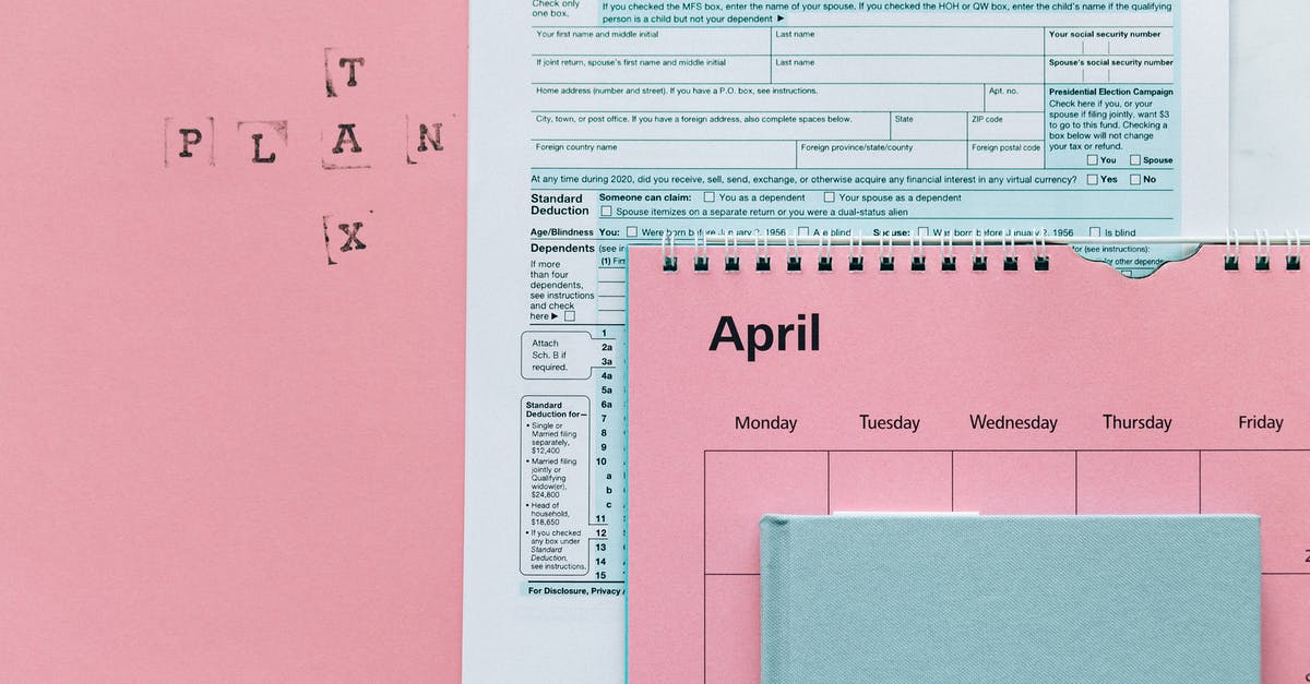 Monthly income section - Tax Return Form and 2021 Planner on Pink Surface