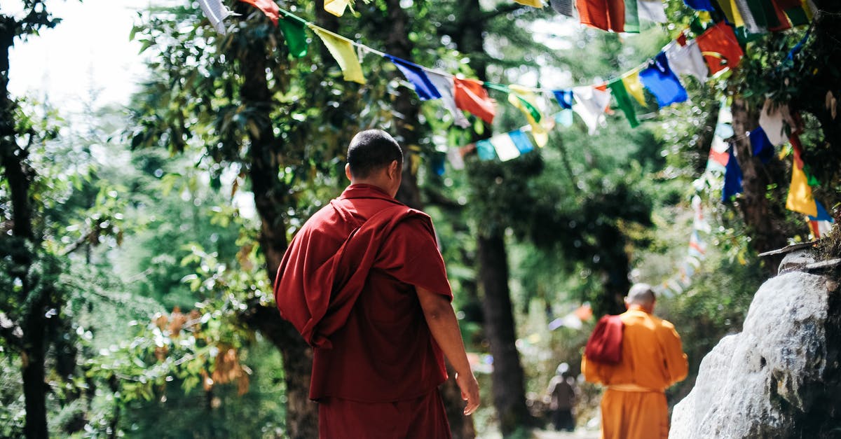 Most effective way to bring money to India and Nepal - Two Monks Walking Between Trees