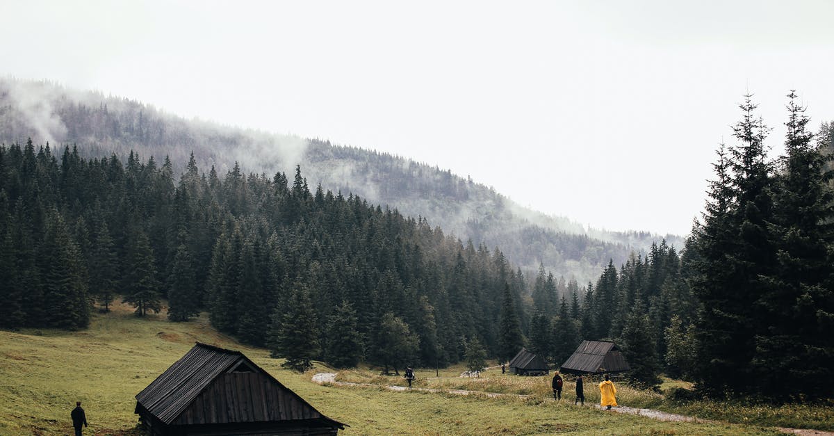 Most Significant Carrier rule for cabin luggage - Brown Wooden House on Green Grass Field Near Green Trees