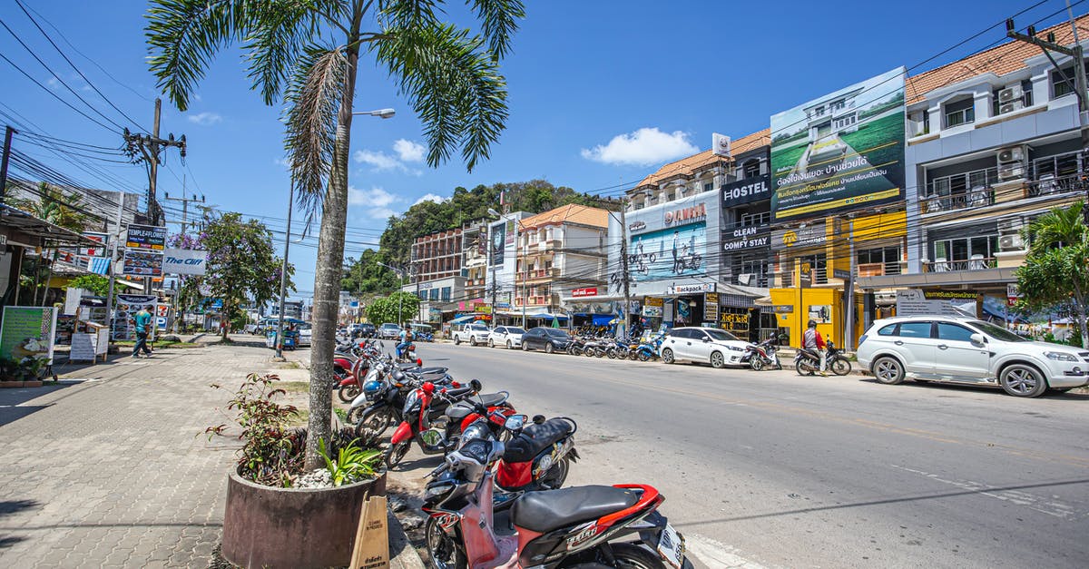 Motorbikes in Thailand and Laos - Photograph of Motorcycles Parked Near a Palm Tree