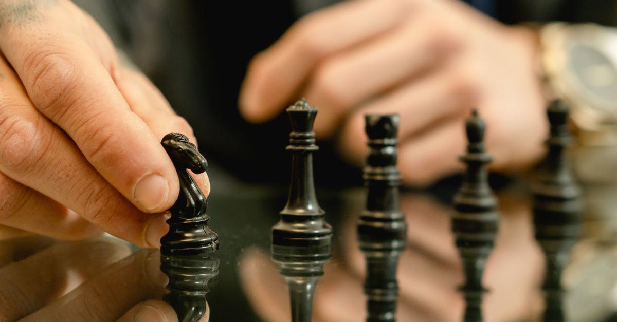 Moving between Schengen Countries - Person Holding Black Chess Piece