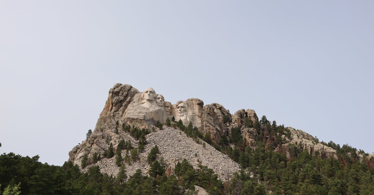 My national passport - Green Trees Near Rocky Mountain