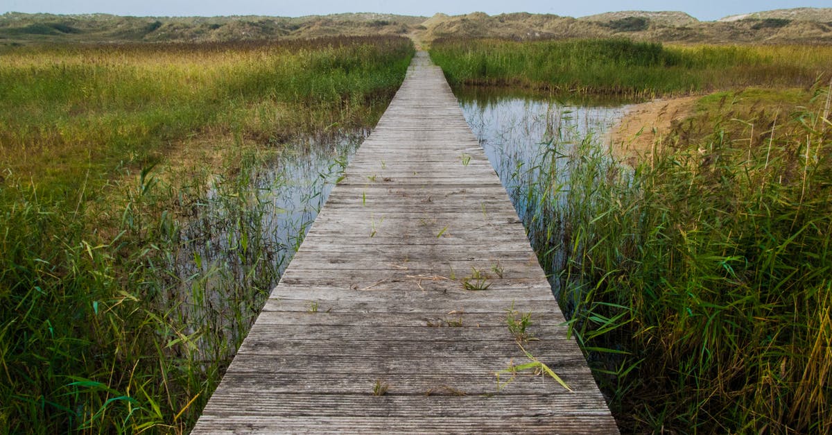 Netherlands Schengen visa rejected; what can I do? [duplicate] - Brown Wooden Dock on River