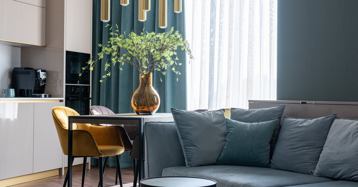 New Zealand Primark Equivalent? - Comfortable couch with pillows and wooden table with soft chairs in modern studio apartment with kitchen zone in daylight