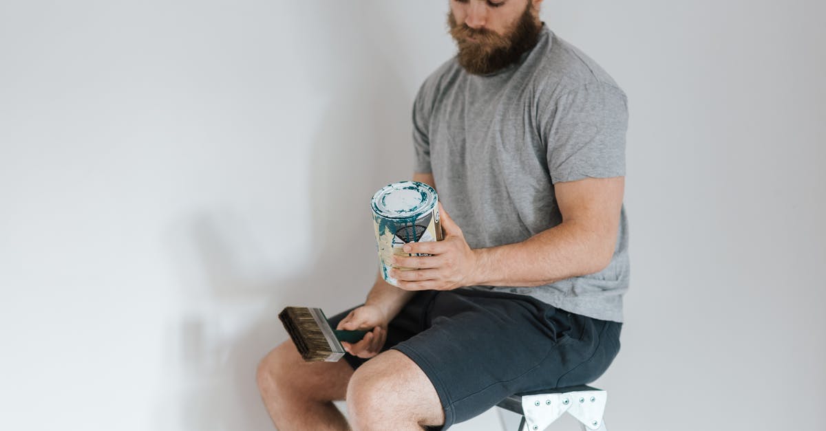 New Zealand visitor visa refusal: what can I do? - Crop hipster man with can on paint on ladder