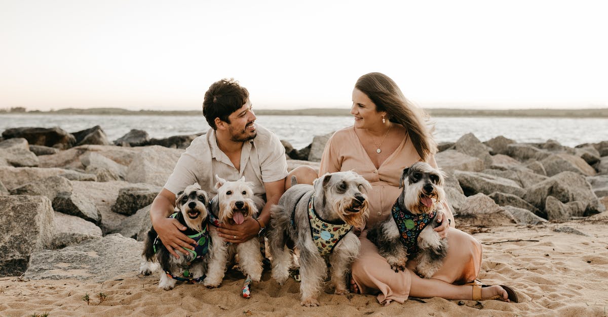 Nicknames for dogs in Peru [closed] - Young Couple Sitting on Beach with Pack of Cute Fox Terriers