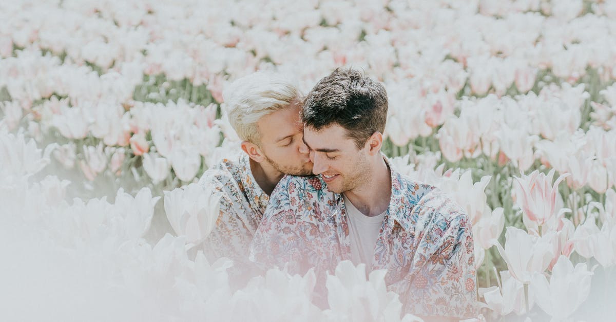 No Until date in USA admit stamp B1/B2 - Two Man Sitting on Pink Flower Field