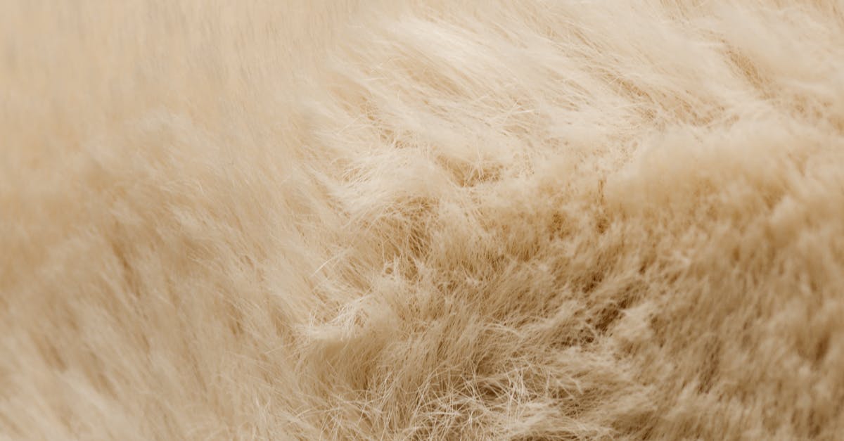 On short connections [closed] - Cream Furry Textile 