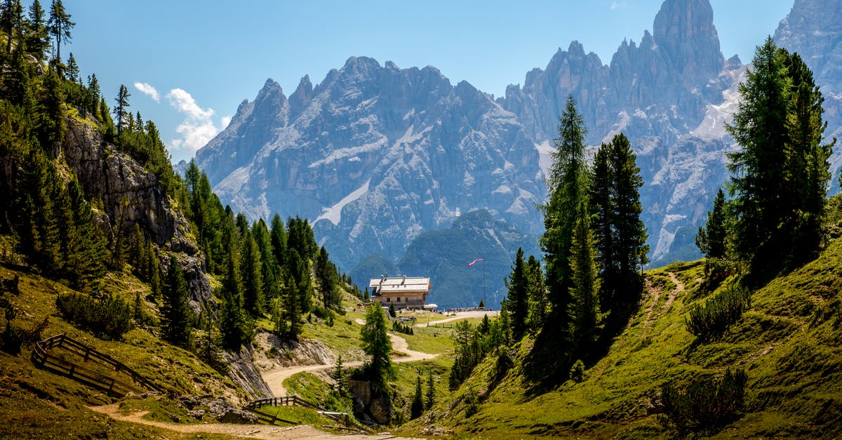 On the trail of the Alpine Ibex in Switzerland - Brown Path Surrounded by Green Pine Trees