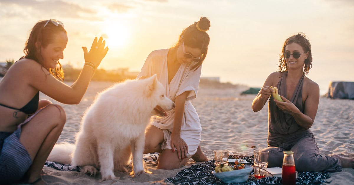 One hour layover LAX domestic flights [duplicate] - Group of Friends at a Beach with Their Pet Dog