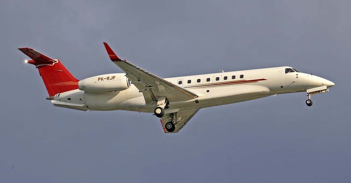 Options for flying to Tokyo from Seoul [closed] - White and Red Passenger Plane in the Sky