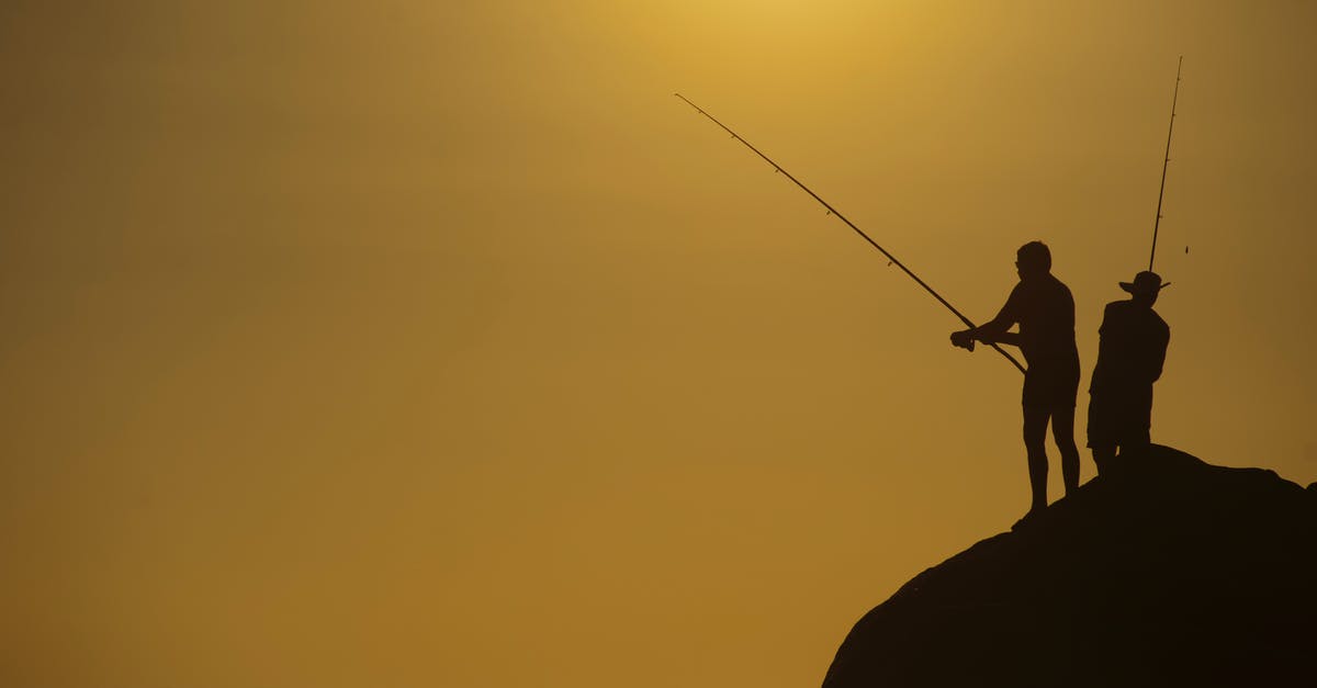 Options for getting paid for hunting or fishing on vacation - Silhouette Photo of Two Men Holding Fishing Rods Against Body of Water on Hill