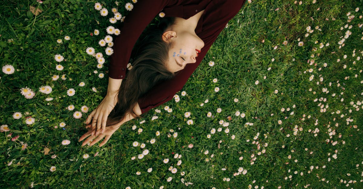 Options for sleeping at Heathrow during a long layover [duplicate] - Woman in Maroon Long Sleeve Shirt Lying on White Flower Field