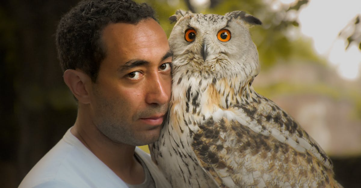 Overstay in Serbia - Person Holding A White Owl 