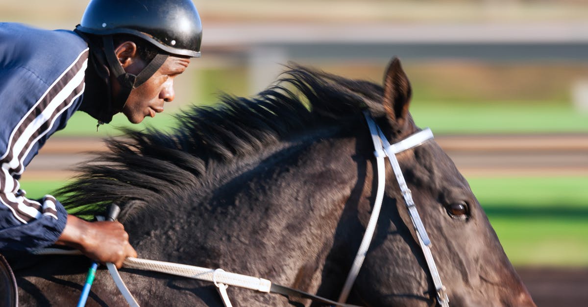 Overstay in USA - course of action? - Tilt Shift Focus Photography of Man Riding Horse