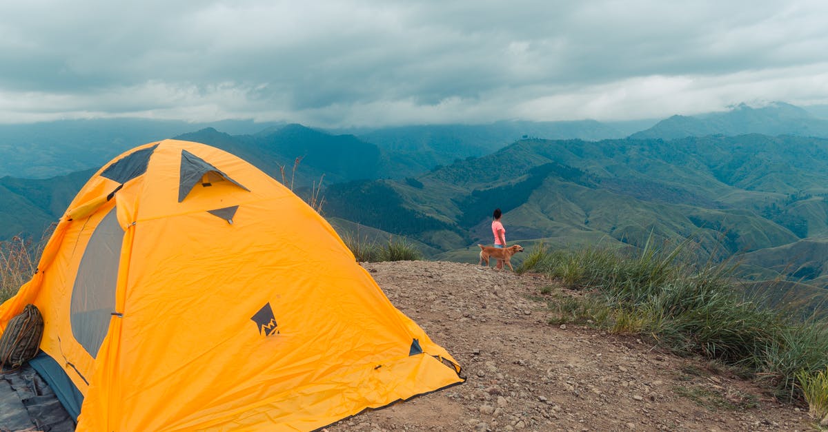 Overstaying In Philippines [duplicate] - Photo of Person Standing Near Cliff Edge