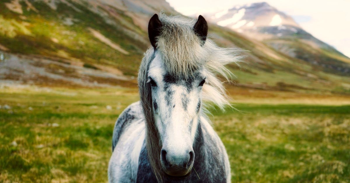 Overstaying Schengen residence permit outside of the issuing country [closed] - White Horse on Body of Mountain